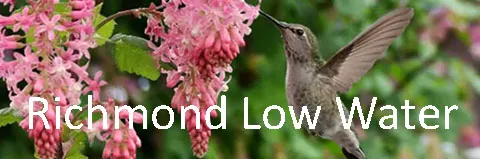 Richmond_Low_Water_Demo_Garden_Courtesy_Annies_Annuals