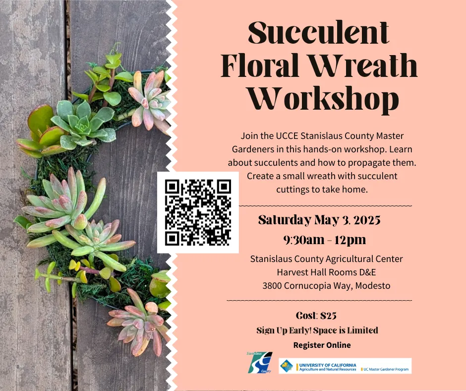 Workshop flier