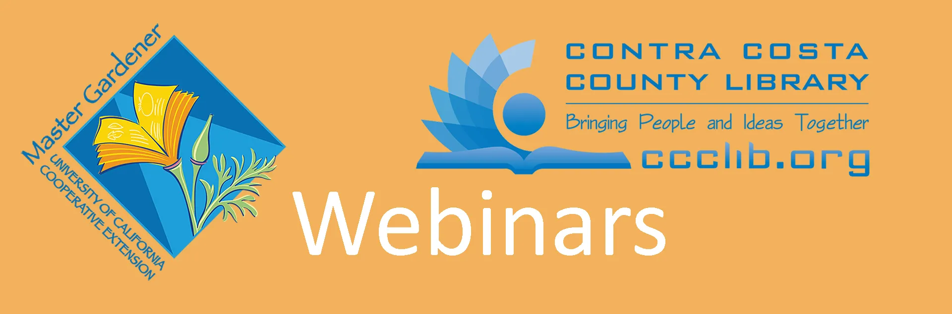 Webinar Banner Colored 1920by634