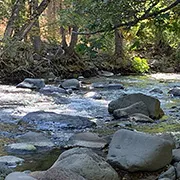 Mill Creek