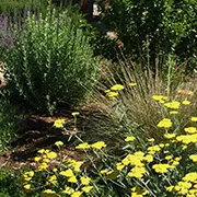 demo garden