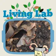 Living Labs cover for student handbook