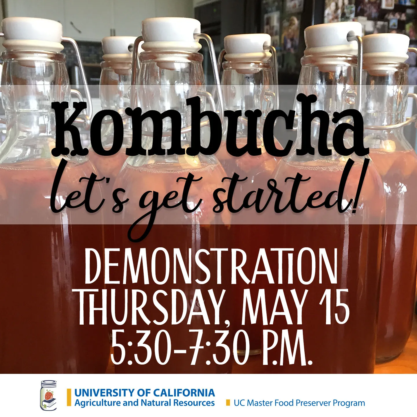 MFP Kombucha—Let's Get Started!