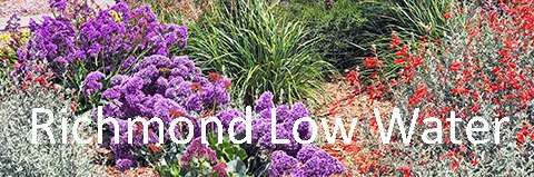 Richmond Low Water Demo Garden