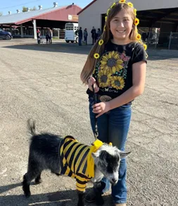 Goat Bee