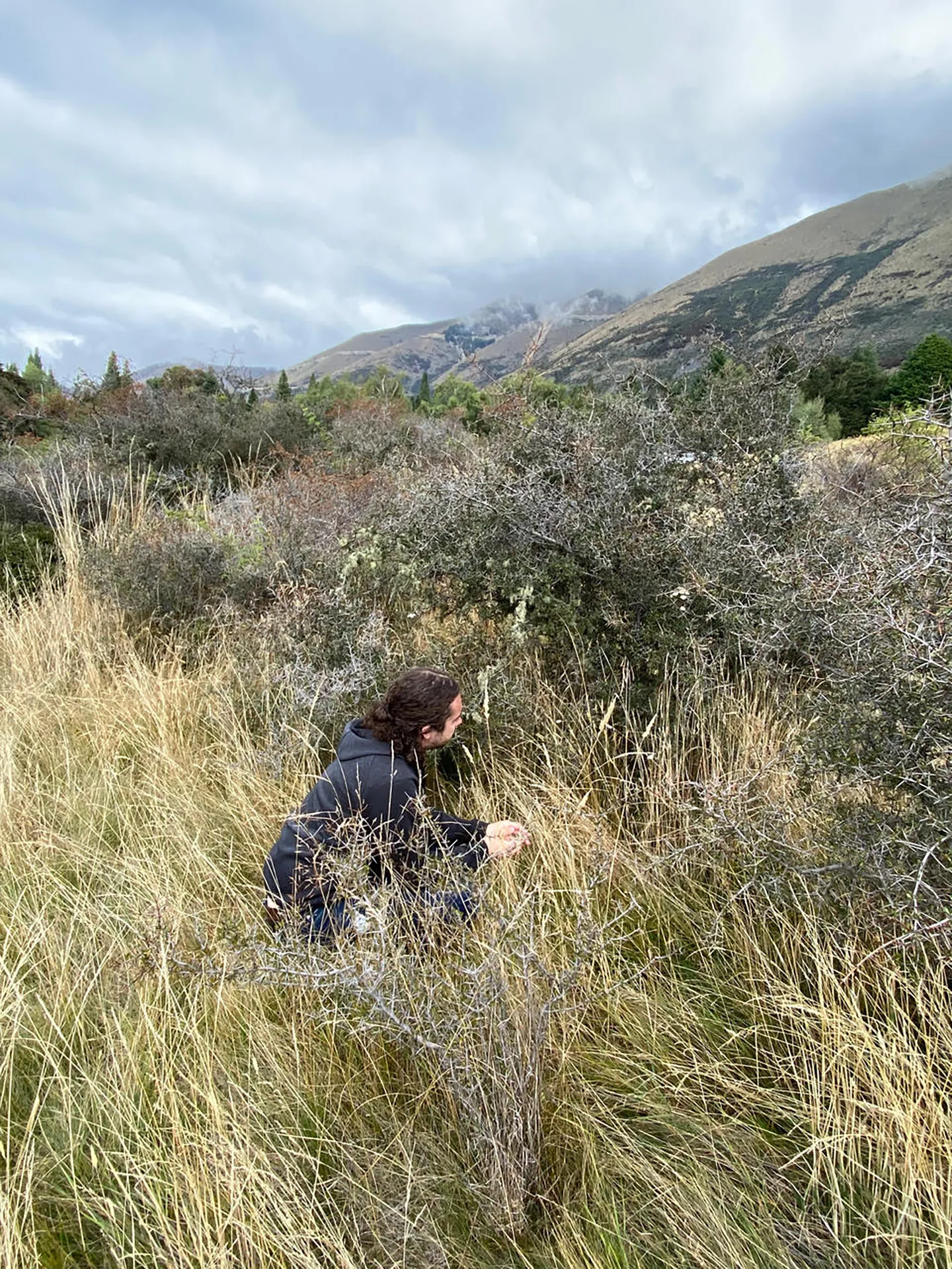 Postdoctoral scholar Mark Stukel listening for cicadas in New Zealand.