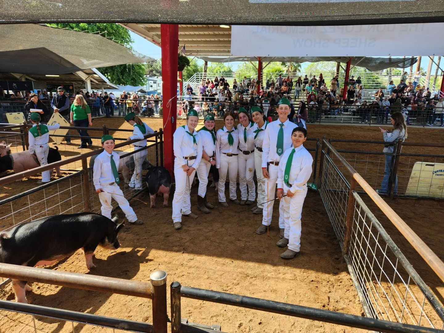 Contra Costa Fair 2024