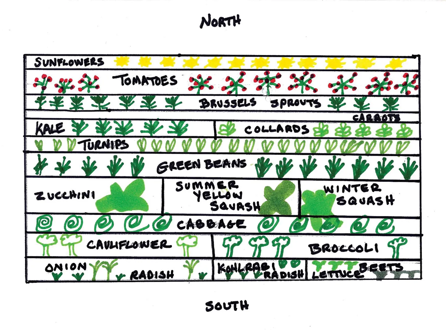 veggie garden plan