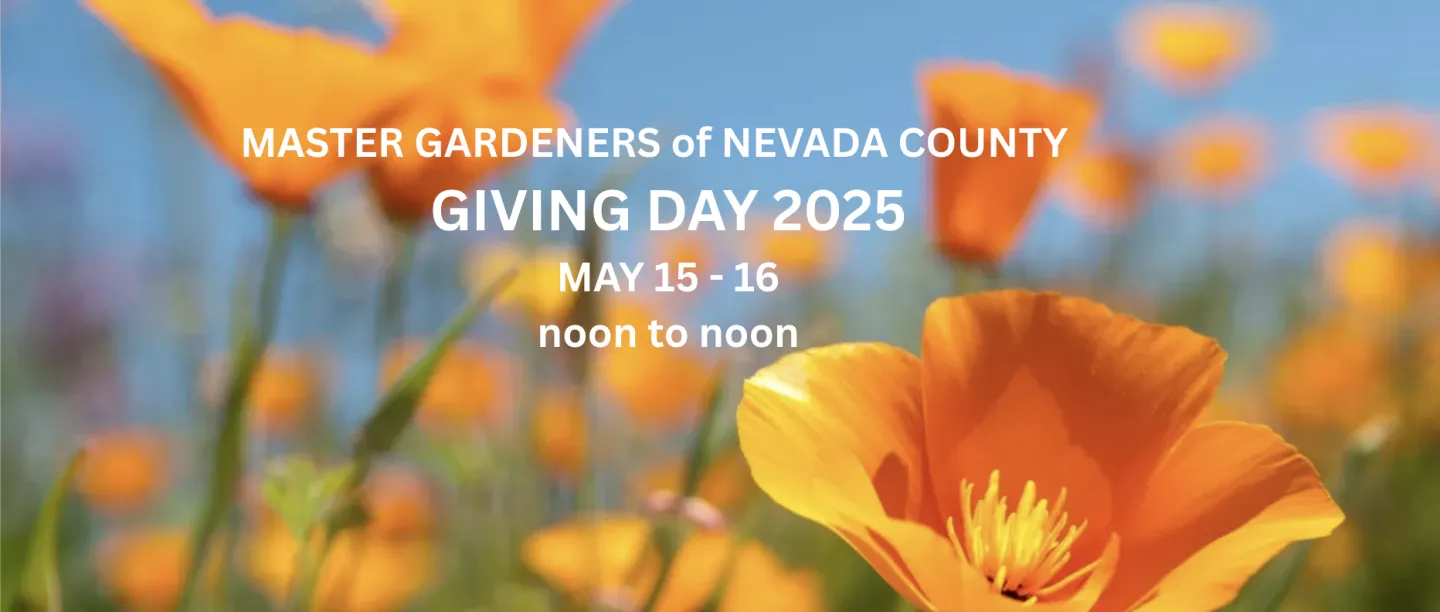 2025 Giving Day