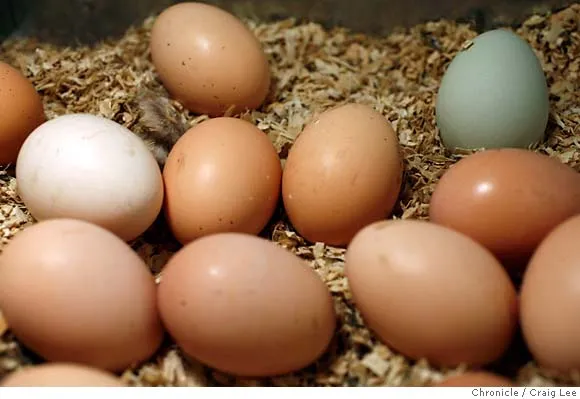 fd_eggs01_075_cl