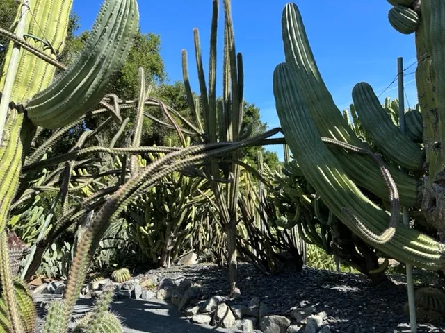 Image-3