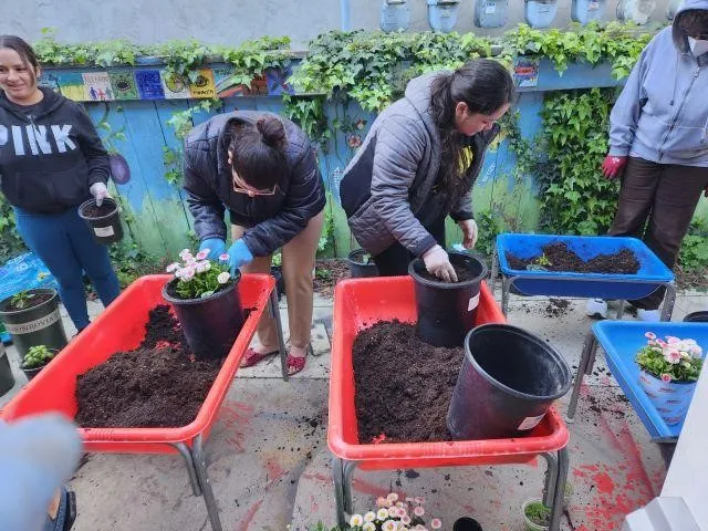 Jardineros-4