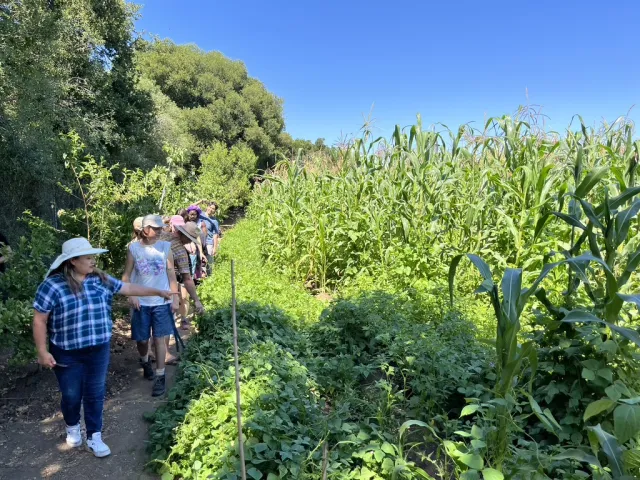 AFQ farm visit