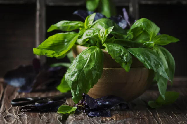 basil