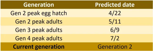 Table 03_20250430