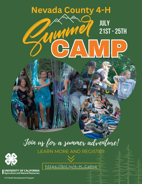 Welcome to Nevada County 4-H Summer Camp
