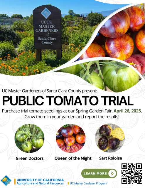 sign at Martial Cottle Park, red tomatoes, green tomatoes