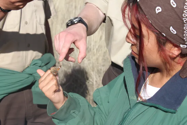 Corpsmember looking at a Common Buckeye