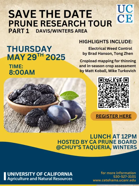 Prune Research Tour Part 1