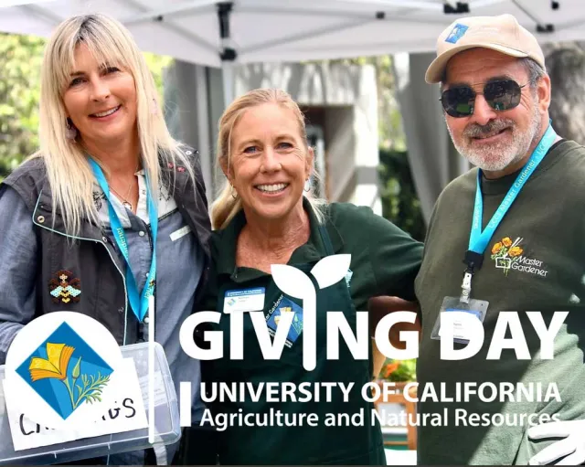 GivingDay 2025