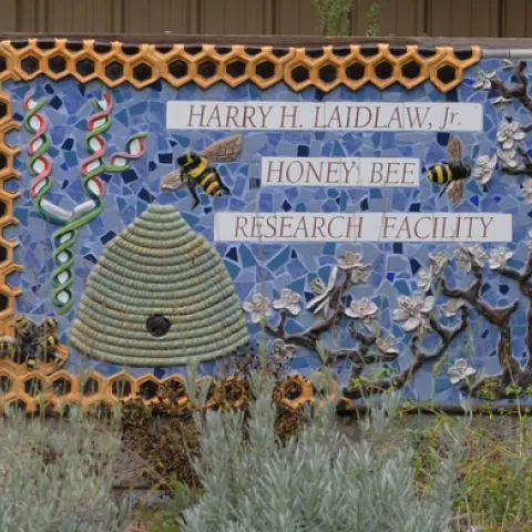 THIS SIGN at the entrance to the Harry H. Laidlaw Jr. Honey bee Research Facility is the work of Davis artist Donna Billick. The hole in the skep leads to a bee hive attached to the back of the sign. (Photo by Kathy Keatley Garvey)