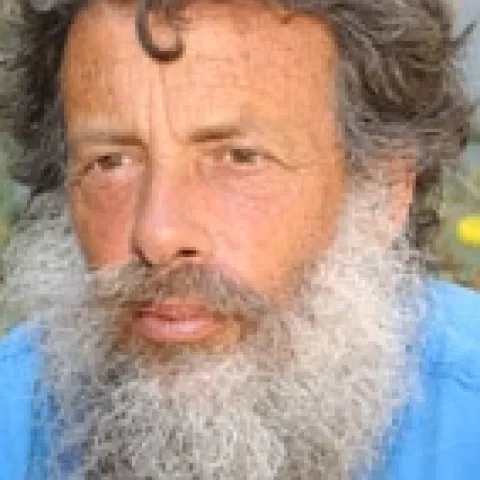 artshapiro