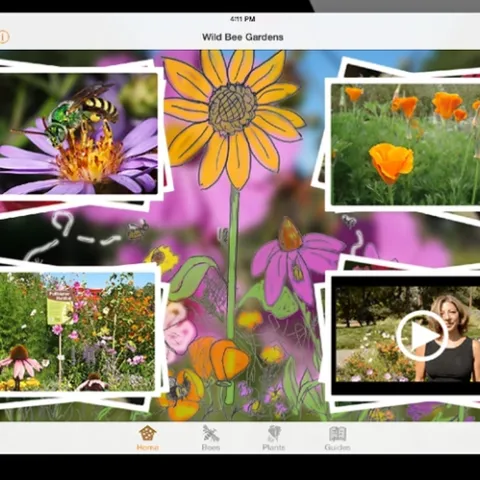 "Wild Bee Gardens" is the first known conservation app for North American native bees