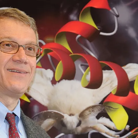 Walter Leal: an entomologist without borders. (Photo by Kathy Keatley Garvey)