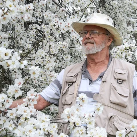 The legendary Robbin Thorp in front of an almond tree on Bee Biology Road, UC Davis campus. (Photo by Kathy Keatley Garvey)