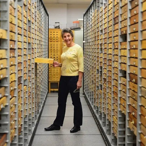 UC Davis distinguished professor Lynn Kimsey, director of the Bohart Museum of Entomology, is the recipient of the 2023 Exceptional Faculty Award from the UC Davis College of Agricultural and Environmental Sciences (CA&ES). (Photo by Kathy Keatley Garvey)