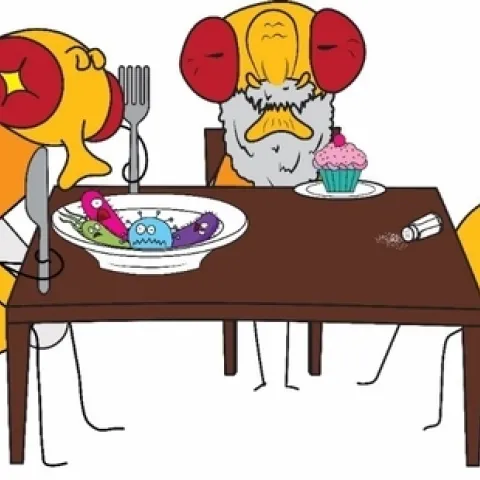 A cartoon from the William Ja lab. Ja, with the Herbert Wertheim Scripps UF Institute for Biomedical Innovation and Technology in Jupiter, Florida, will speak on "Eat, Excrete, & Die: Regulation of Homeostatic Behaviors and Aging in Drosophila" at 4:10 p.m., Monday, Jan. 22.