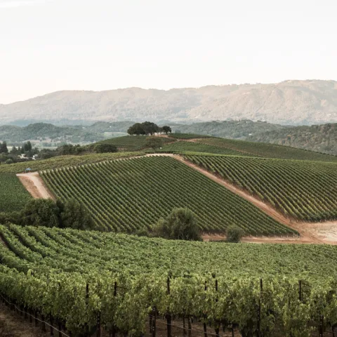 Sonoma county countryside