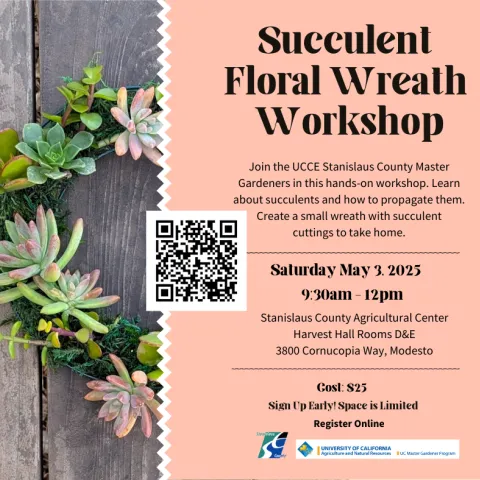 Workshop flier