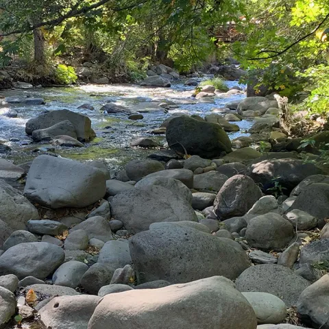 Mill Creek