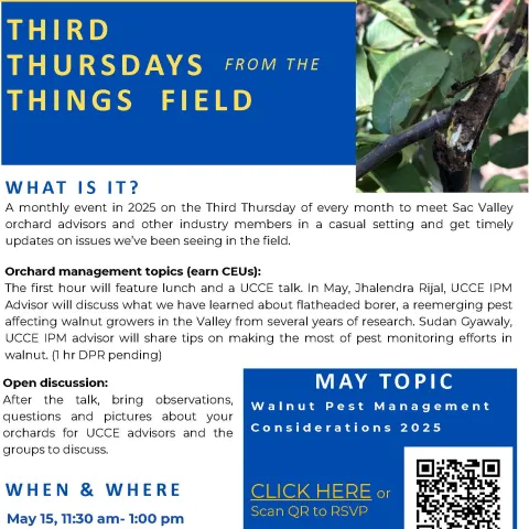 TTTF - May 25