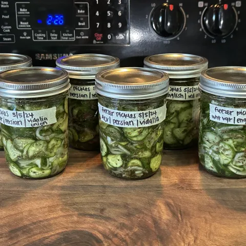 jars of pickles