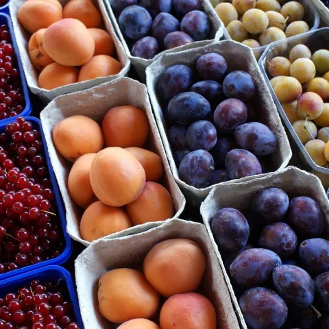 Stone fruit