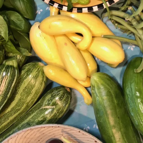 Summer Vegetables