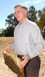 Eric Mussen, UC Davis apiculturist, with a panel of bees at the Harry H. Laidlaw Jr. Honey Bee Research Facility, UC Davis. (Photo by Kathy Keatley Garvey)