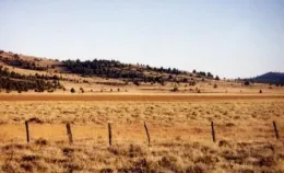 Willow Creek Valley