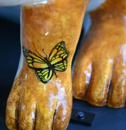 A butterfly graces