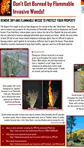 cover_flammableWeeds