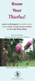 cover_thistles