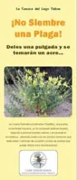 DPP_spanish_cover