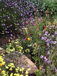 NativeGarden-01