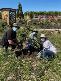 calvet volunteers