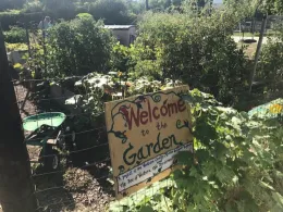 ARC Raised Beds