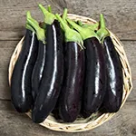 Eggplant_Turkish Delight_highmowingseeds_com