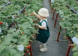 Gardening_with_kids_pexels-mochi-mochi-613800453-17710984_350_250px.jpg
