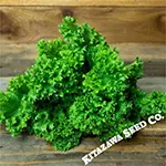 Mustard_Chirimen_Hakarashi_trueleafmarket_com